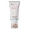 SEATERRA - Mineral Enhanced Hand Cream for dry cracked hands, Dead Sea Plus – white peony and red sage root. 97% Natural Ingredients, Vegan, 100 ml / 3.4 fl.oz. - Image 5
