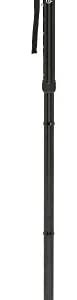HurryCane HCANE-BK-C2 Freedom Edition Foldable Walking Cane with T Handle, Original Black