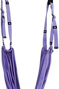 Flurries👍 Aerial Yoga Door Hanging Trapeze Sling Kit - Air Flying Yoga Hammock Swing Set - Antigravity Inversion Tool - Gravity Yoga Exercise Flexibility Trainer for Beginner Gym Home Fitness