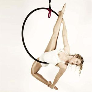 FiveShops Hbche Aerial Hoop Kit Aerial Rings Circles Fitness Equipment Include Stainless Steel Lyra (32mm Tube Dia) & Carabiners & Swivel