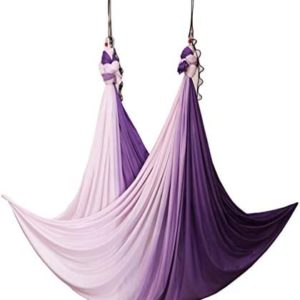 wellsem Aerial Yoga Hammock Aerial Pilates Silk Yoga Swing Set Include Carabiners Daisy Chain, Pose Guide 5.5 Yards Set