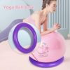 Bostar Exercise Ball Base Yoga Ball Stand Non-Slip Balance Ball Fixed Ring Balance Ball Stand for Pilates,Gym,Office or Home Workouts - Image 2