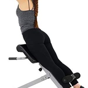 Sunny Health & Fitness SF-BH6629 45 Degree Hyperextension Roman Chair