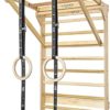 Beyond Balance Personal Training Station: Stall Bars with Adjustable Pull-Up Dip Bar Attachment - Image 6