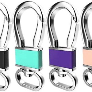Teskyer 4 Pack Metal Carabiner Keychain Key Clip Hook, Key Rings Key Chain Ring Holder Organizer for Car Key Finder