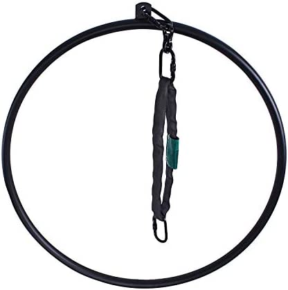 runner deer Complete Aerial Hoop Lyra Set-Hollow Powder-Coated Steel -25mm Thick,Include Lyra,Carabiners, Swivel, and Spanset