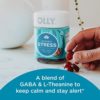 OLLY Goodbye Stress Gummy, GABA, L-Theanine, Lemon Balm, Stress Relief Supplement, Berry, 42 Day Supply - 42 Count - Image 2