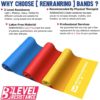 Resistance Bands Set, Exercise Bands for Physical Therapy, Yoga, Pilates, Rehab and Home Workout, Non-Latex Elastic Bands Set of 3… - Image 3
