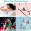 Aerial Yoga Hammock Kit -5.5 Yards Premium Aerial Silks Fabric with Hardware, Straps, Guide, Antigravity Yoga Inversion Exercises Flying Swing, Aerial Silk at Home for All Levels Starter (16.5 * 9ft) - Image 6