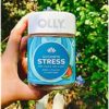 OLLY Goodbye Stress Gummy, GABA, L-Theanine, Lemon Balm, Stress Relief Supplement, Berry, 42 Day Supply - 42 Count - Image 12