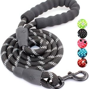 BAAPET 2/4/5/6 FT Dog Leash with Comfortable Padded Handle and Highly Reflective Threads for Small Medium and Large Dogs