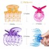 RC ROCHE ORNAMENT 6 Pcs Womens Classic Double Multi Layer Fine Teeth Claws Jaw Interlocking Strong Hold No Slip Firm Grip Hair Clutcher Clamp Beauty Fashion Accessory, Medium Transparent Multicolor - Image 4