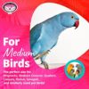 Super Bird SB748 Flying Trapeze Bird Toy, Medium Bird Size, 14" x 13" x 12" - Image 3