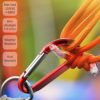 sprookber 3" Carabiner Clip Keychain, D Ring Caribeaner Clip, Key Clip Caribeener, Spring Snap Hook for Bag/Buckle, Set of 10 - Image 4