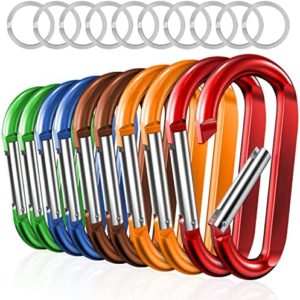 sprookber 3" Carabiner Clip Keychain, D Ring Caribeaner Clip, Key Clip Caribeener, Spring Snap Hook for Bag/Buckle, Set of 10