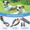 BAAPET 2/4/5/6 FT Dog Leash with Comfortable Padded Handle and Highly Reflective Threads for Small Medium and Large Dogs - Image 3