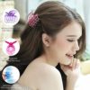 RC ROCHE ORNAMENT 6 Pcs Womens Classic Double Multi Layer Fine Teeth Claws Jaw Interlocking Strong Hold No Slip Firm Grip Hair Clutcher Clamp Beauty Fashion Accessory, Medium Transparent Multicolor - Image 2