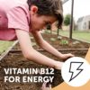 SmartyPants Organic Kids Multivitamin, Daily Gummy Vitamins: Probiotics, Vitamin C, D3, Zinc, & B12 for Immune Support, Energy & Digestive Health, Assorted Fruit Flavor, 120 Gummies, 30 Day Supply - Image 16