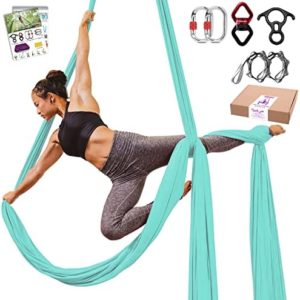 Ableme Aerial Yoga Silks 9 Yards Hammock Kit (Low-Medium Stretch) for Aerial Dance, Flying Yoga, Yoga Starter Kit with Hardware Set - Swing for All Levels, Suit for 8-13 ft Ceiling Height