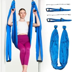 Gym1 Sensory Swing for Children and Adults, With Arm/Leg Extension Straps and Handles, For Sensory Swinging Activities or Aerial Yoga At Home, Attaches Easily to Gym1 Pull-Up Bar (Sold Separately)