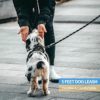 BAAPET 2/4/5/6 FT Dog Leash with Comfortable Padded Handle and Highly Reflective Threads for Small Medium and Large Dogs - Image 6