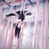 XIANGGUI 1983 Yoga Hammock Yoga Swing for Home Outdoor Yoga Hammock Set Aerial Yoga Hammock Acrobatic Dance Yoga Fitness Accessories Aerial Silk Pilates - Image 2