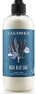 Caldrea Hand Lotion, For Dry Hands, Made with Shea Butter, Aloe Vera, and Glycerin and Other Thoughtfully Chosen Ingredients, Basil Blue Sage Scent, 10.8 oz (Packaging May Vary)