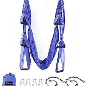 Aerial Yoga Swing Set Yoga Hammock Trapeze Sling Inversion Tool for Indoor Home Fitness (Double Color)