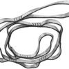 1.1M 7 Loops Aerial Yoga Hammock Extension Rope Belt Strap for Hammock Aerial Yoga Outdoor Camping Double-Layer High-Strength Polyester Chrysanthemum Rope (Orange) - Image 5