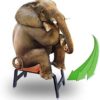 wan Qin Yoga Inversion Bench Headstand Prop Upside Down Chair for Balance Training Core Strength Building (Color : Red) - Image 2