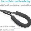 iYoShop Dual Dog Leash, Double Dog Leash, 360 Swivel No Tangle Walking Leash, Shock Absorbing Bungee for Two Dogs, Medium (8-35 lbs) | Large (25-150 lbs) - Image 4