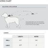 Carhartt Pet Durable Webbing Leashes for Dogs, Reflective Stitching for Visibility - Image 7