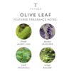 Thymes Hand Lotion Gold Pump - 8.25 Fl Oz - Olive Leaf - Image 4
