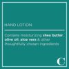 Caldrea Hand Lotion, For Dry Hands, Made with Shea Butter, Aloe Vera, and Glycerin and Other Thoughtfully Chosen Ingredients, Gilded Balsam Birch Scent, 10.8 oz (Packaging May Vary) - Image 4