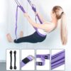 Balems Sports Aerial Yoga Swing Set Yoga Ropes Band Sling Anti-Gravity Yoga Hammock Kit Trapeze Equipment, Flying Yoga Inversion Tool, Exercises, Adult Kids Aerial Door Yoga Swing - Image 3