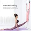 Aerial Yoga Rope Leg Splits Exercise Elastic Elastic Training Belt Handstand Fitness Training Belt - Image 4