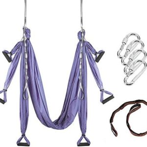 MQSS Aerial Yoga Swing - Yoga Hammock/Sling/Inversion Tool Gym Strength Antigravity Yoga Hammock - Inversion Sensory Hammock Sling Exercise Equipment Purple