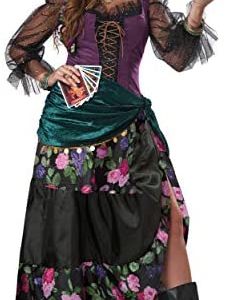 Women's Teller of Fortunes Costume