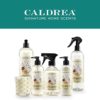 Caldrea Hand Lotion, For Dry Hands, Made with Shea Butter, Aloe Vera, and Glycerin and Other Thoughtfully Chosen Ingredients, Gilded Balsam Birch Scent, 10.8 oz (Packaging May Vary) - Image 6