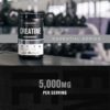 Creatine Monohydrate Powder 5g - Premium Creatine Supplement for Muscle Growth, Increased Strength, Enhanced Energy Output and Improved Athletic Performance - 85 Servings, Unflavored - Image 3