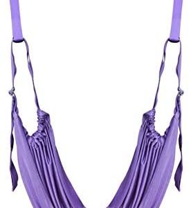 Balems Sports Aerial Yoga Swing Set Yoga Ropes Band Sling Anti-Gravity Yoga Hammock Kit Trapeze Equipment, Flying Yoga Inversion Tool, Exercises, Adult Kids Aerial Door Yoga Swing