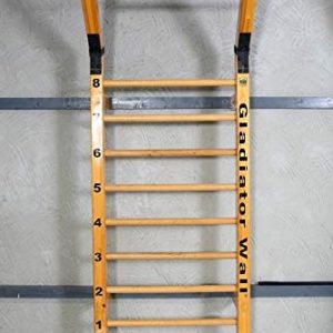 Suples Gladiator Wall - stall Bars, stall bar, Pull up bar, Push up bar, Strength Training, core Training, core bar, Workout, MMA, Wrestling, UFC, Judo, Training Bars