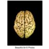Abstract Human Anatomy Wall Art Poster Set- Gift for Doctor, Nurse, Physicians Assistant, RN - Modern Black and Gold Room Decor Home Decorations Set for Medical Office - Heart, Skull, Lungs, Brain - Image 4