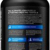 Creatine Monohydrate Powder | MuscleTech Cell-Tech Creatine Powder | Post Workout Recovery Drink | Muscle Builder for Men & Women | Muscle Building Creatine Supplements | Fruit Punch, 3 lbs (28 Serv) - Image 8