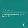 Caldrea Hand Lotion, For Dry Hands, Made with Shea Butter, Aloe Vera, and Glycerin and Other Thoughtfully Chosen Ingredients, Gilded Balsam Birch Scent, 10.8 oz (Packaging May Vary) - Image 5