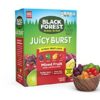 Black Forest Fruit Snacks Juicy Bursts, Mixed Fruit, 0.8 Ounce (40 Count) - Image 2