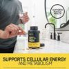 Optimum Nutrition Opti-Men, Vitamin C, Zinc and Vitamin D, E, B12 for Immune Support Mens Daily Multivitamin Supplement, 240 Count (Packaging May Vary) - Image 6