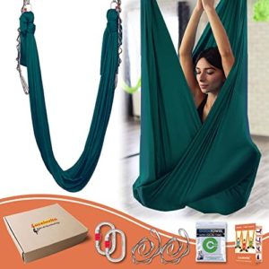 5.5 Yards Aerial Yoga Hammock Aerial Silks for Home Yoga Silk Hammock Set with Daisy Chain,Carabiner and Guide