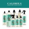Caldrea Hand Lotion, For Dry Hands, Made with Shea Butter, Aloe Vera, and Glycerin and Other Thoughtfully Chosen Ingredients, Pear Blossom Agave Scent, 10.8 oz (Packaging May Vary) - Image 6