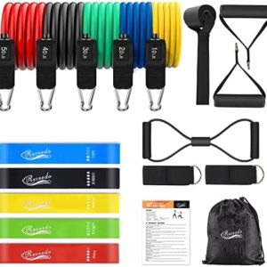 Resistance Bands Set 17pcs, Resistance Band, Exercise Bands Fitness Workout with Wide Handles, Door Anchor, Steel Clasp, Carry Bag, Ankle Straps for Home Gym Outdoor Travel